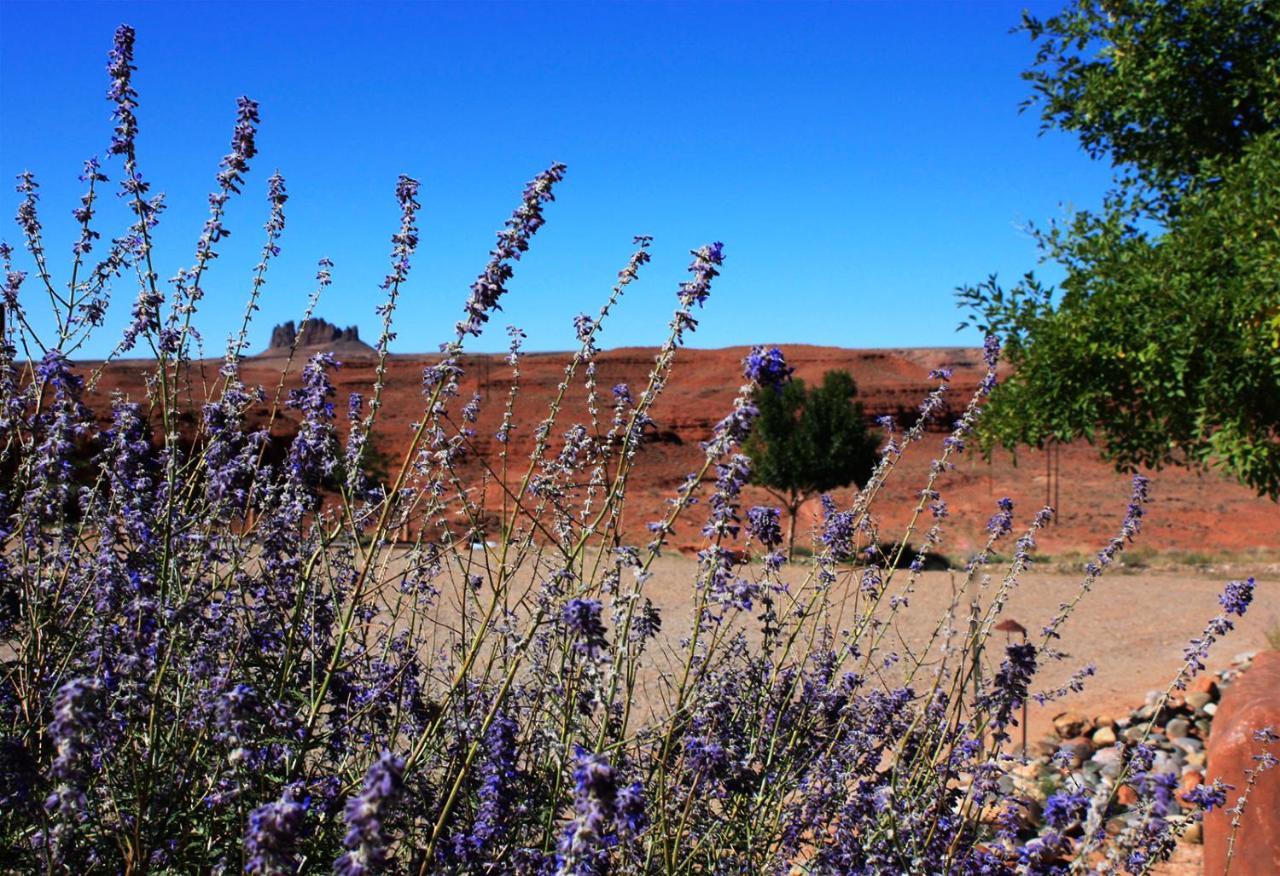 Hat Rock Inn Mexican Hat المظهر الخارجي الصورة